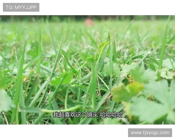 杈藉畞瀹樺浼戣禌鏈熼绛撅紒寮楁牸绂婚槦鎴愬畾灞€锛岃档缁т紵杩庡崟鏍歌€冮獙 杈藉畞瀹樺浼戣禌鏈熼绛撅紒寮楁牸绂婚槦鎴愬畾灞€锛岃档缁т紵杩庡崟鏍歌€冮獙