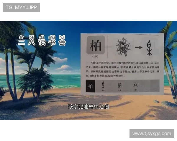 鑷村懡鐤忓拷锛氶檷钀戒紴鏈紑鐨勭敓姝荤灛闂翠笌绉戝瑙f瀽